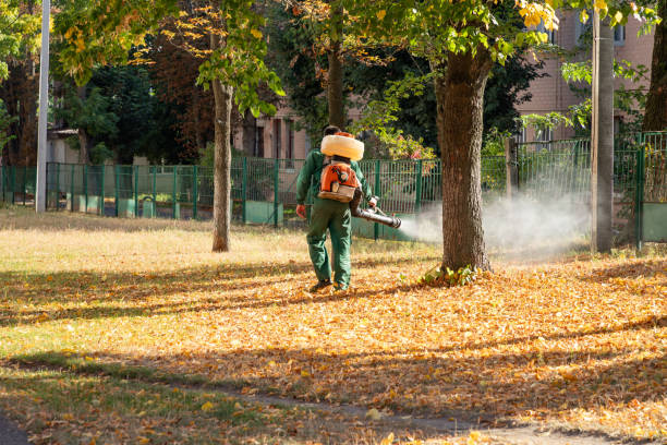 Best Mosquito Control Services  in Belle Isle, FL